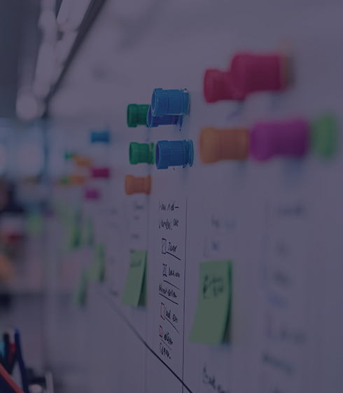 Echelon Innovation Consulting