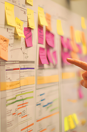 Echelon Innovation Consulting